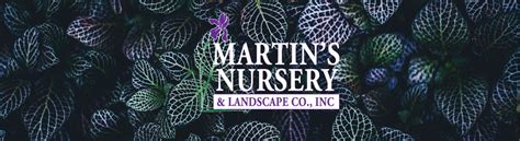 Martins nursery - We at Martin’s Nursery strive to maintain a horticultural showplace, with an extensive selection of flowering and non-flowering plants, shrubs, and trees. The quality of our products attest to the professionalism of the staff that grow and maintain them. We also offer supplies for commercial and residential needs; including soil, chemicals ... 